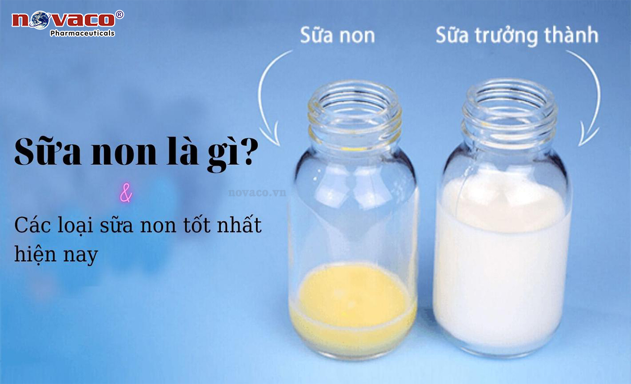 Nguyên liệu Colostrum 20%