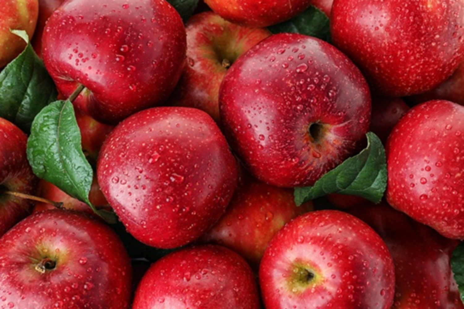 15 lợi ích tuyệt vời của táo không thể bỏ qua