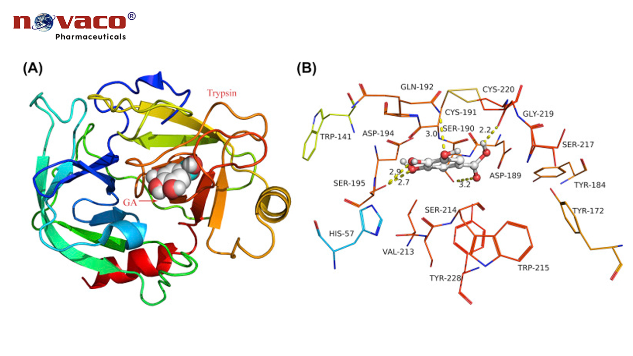 Enzyme Trypsin 200 USP/g