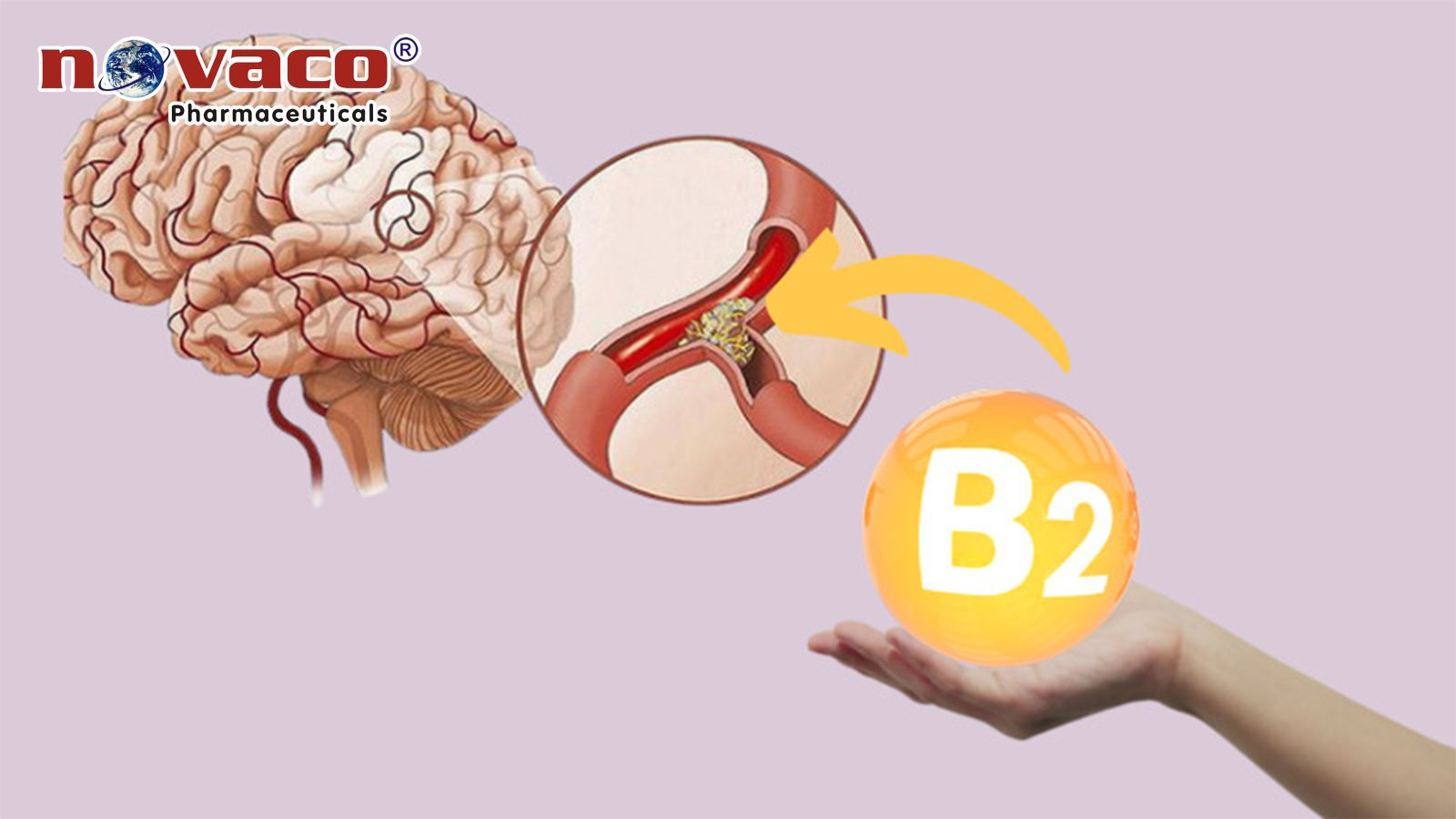 Vitamin B2 (riboflavin) - Nguyên liệu Novaco