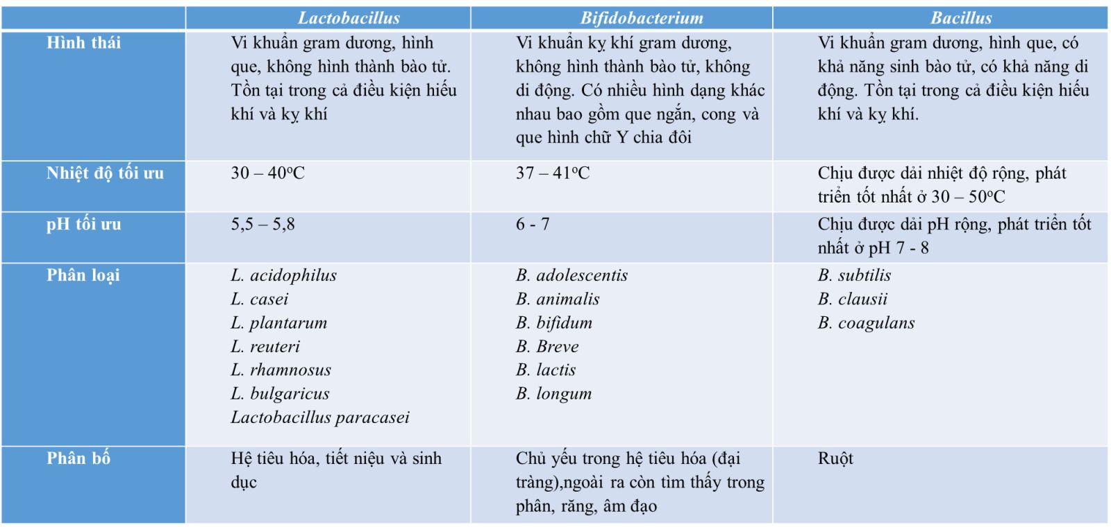 Các loại Men vi sinh tốt nhất hiện nay